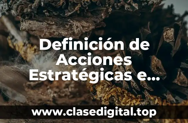 Definición de Acciones Estratégicas e Instrumentales para Diseño