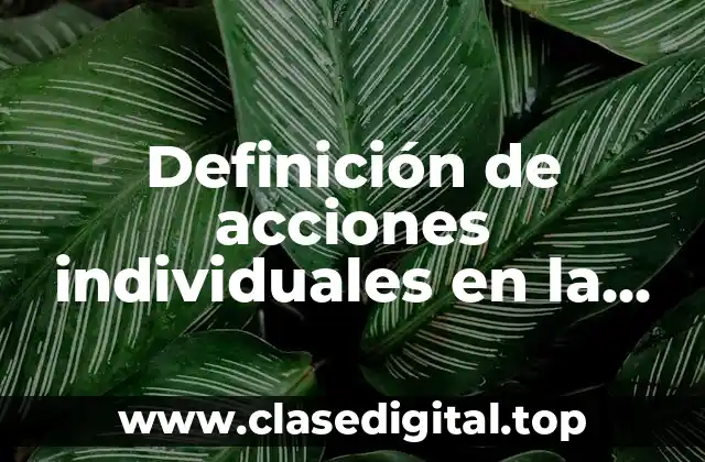 Definición de acciones individuales en la escuela