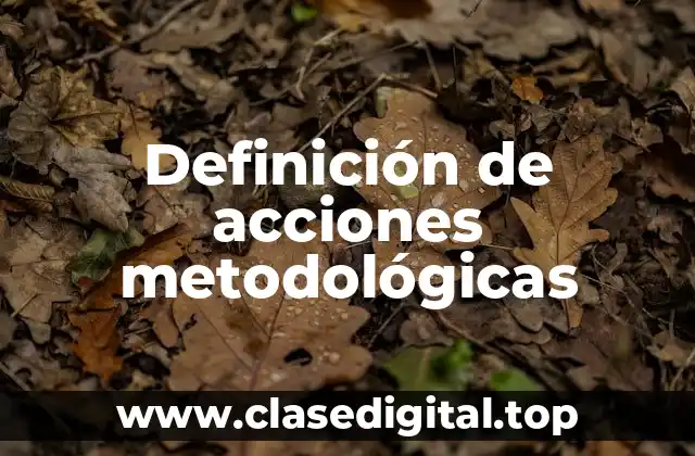 Definición de acciones metodológicas