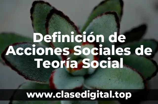 Definición de Acciones Sociales de Teoría Social