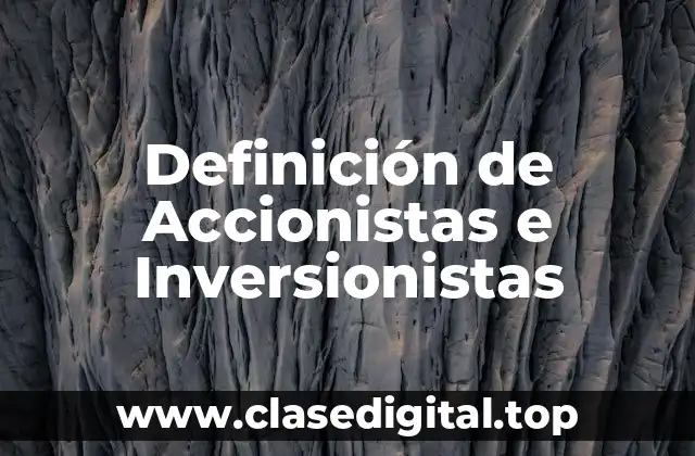 Definición de Accionistas e Inversionistas