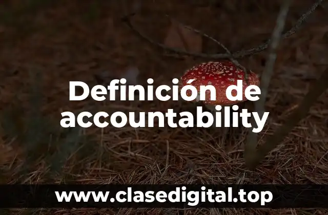 Definición de accountability