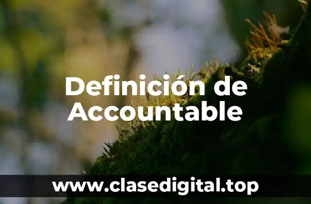 Definición de Accountable