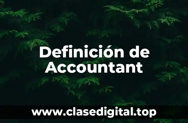 Definición de Accountant