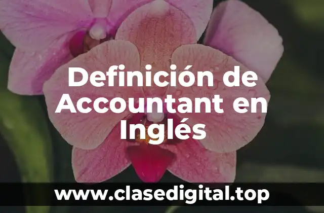 Definición de Accountant en Inglés