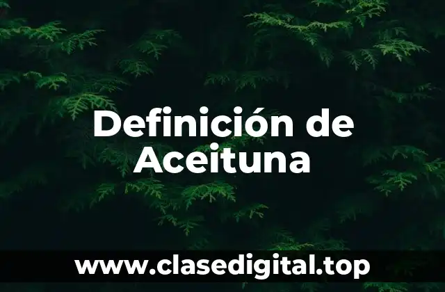 📗 Definición técnica de Aceituna