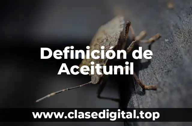 Definición de Aceitunil
