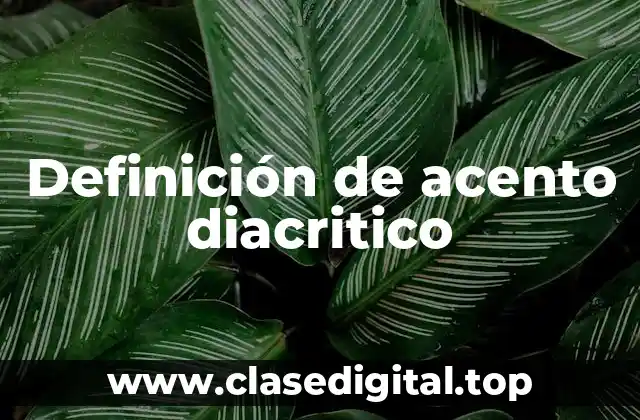 Definición técnica de acento diacritico