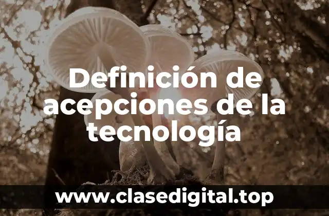 Definición de acepciones de la tecnología