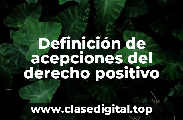 Definición de acepciones del derecho positivo