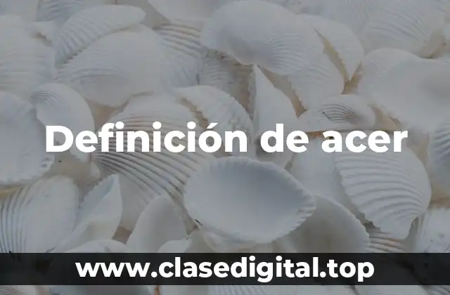 Definición de acer