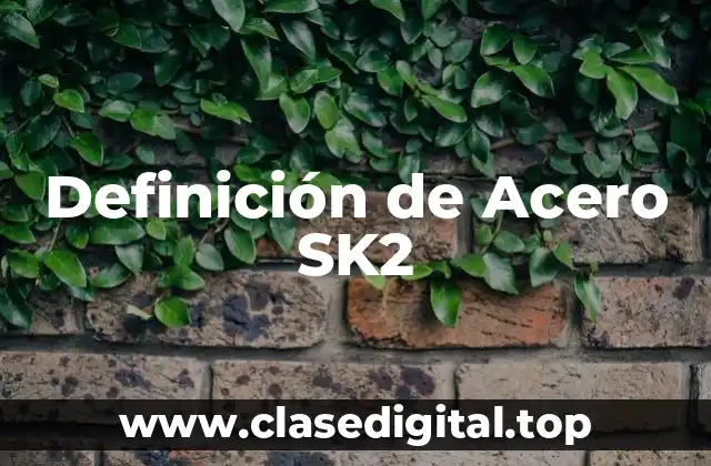 Definición de Acero SK2
