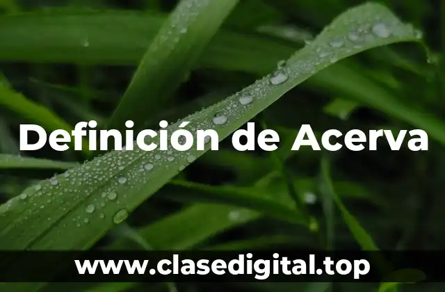 Definición de Acerva