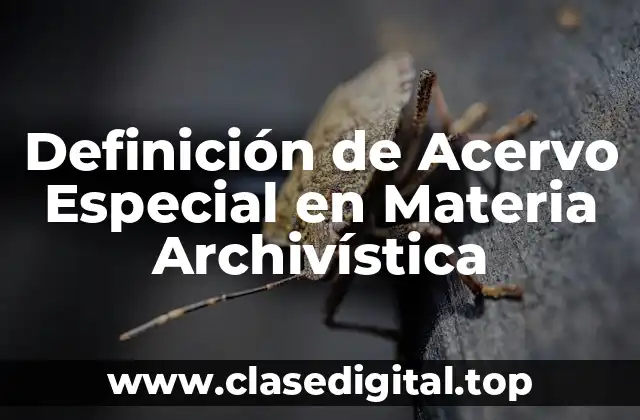 Definición de Acervo Especial en Materia Archivística