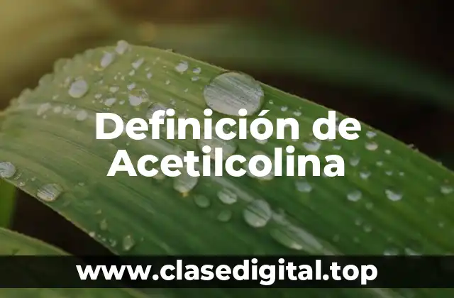 Definición técnica de Acetilcolina
