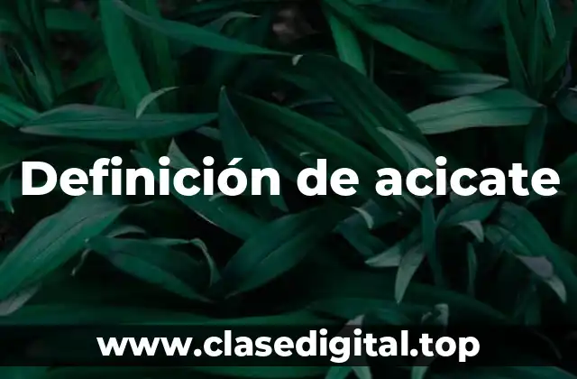 Definición de acicate