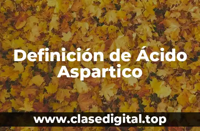 Definición de Ácido Aspartico