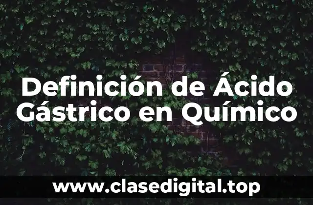 Definición de Ácido Gástrico en Químico