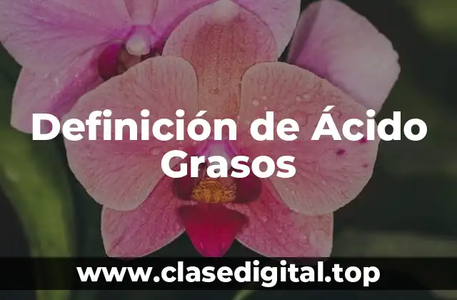Definición de Ácido Grasos