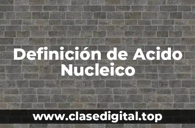 Definición de Acido Nucleico