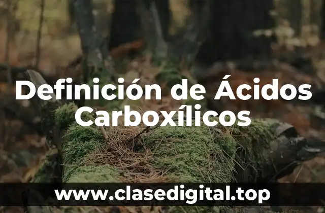 Definición técnica de Ácidos Carboxílicos