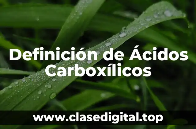 Definición de Ácidos Carboxílicos
