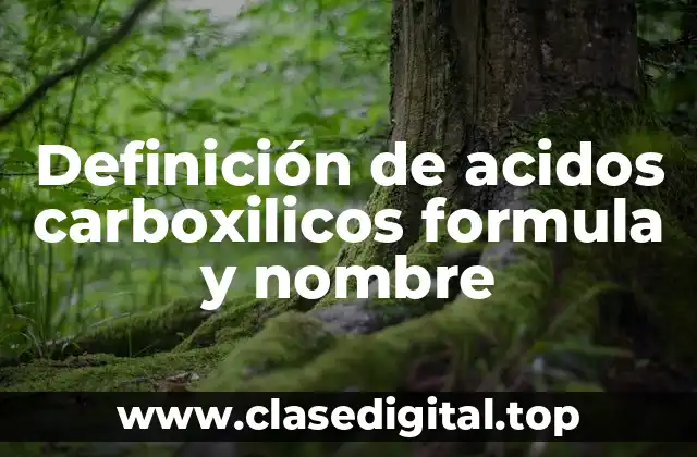 Ejemplos de acidos carboxilicos