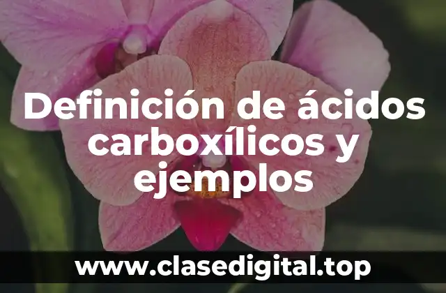 Definición de ácidos carboxílicos y ejemplos