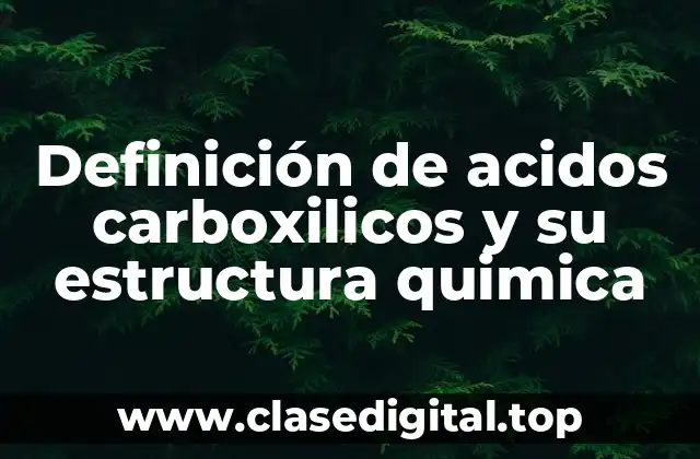 Definición de acidos carboxilicos y su estructura quimica