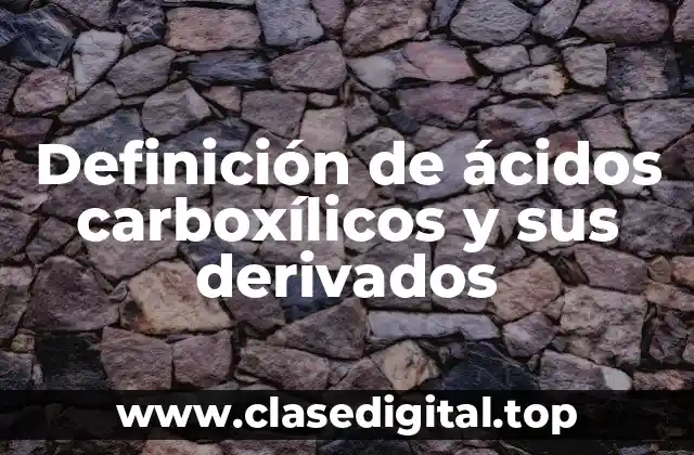 Definición técnica de ácidos carboxílicos