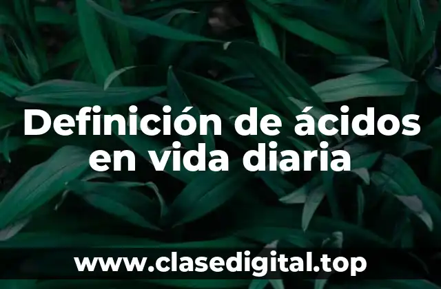 Definición de ácidos en vida diaria