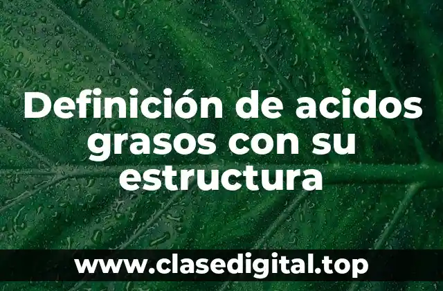 Definición de acidos grasos con su estructura