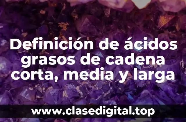 Ejemplos de ácidos grasos de cadena corta, media y larga