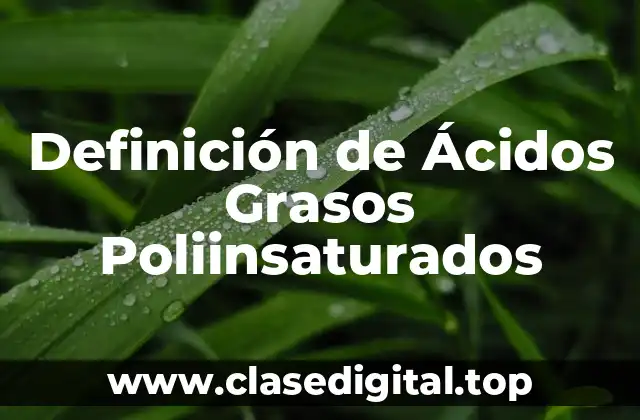 Definición Técnica de Ácidos Grasos Poliinsaturados
