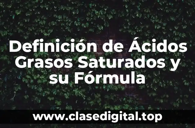 Definición de Ácidos Grasos Saturados y su Fórmula