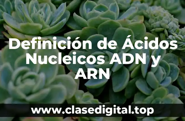 Definición de Ácidos Nucleicos ADN y ARN