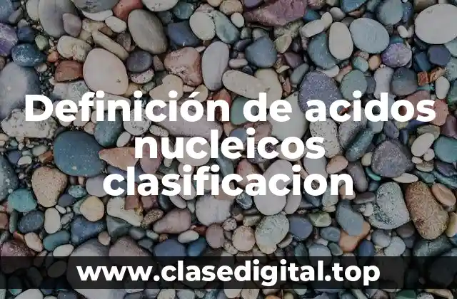 Definición de acidos nucleicos clasificacion