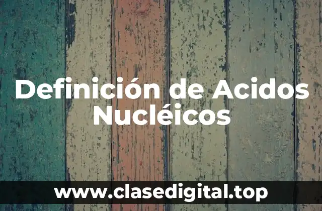Definición de Acidos Nucléicos