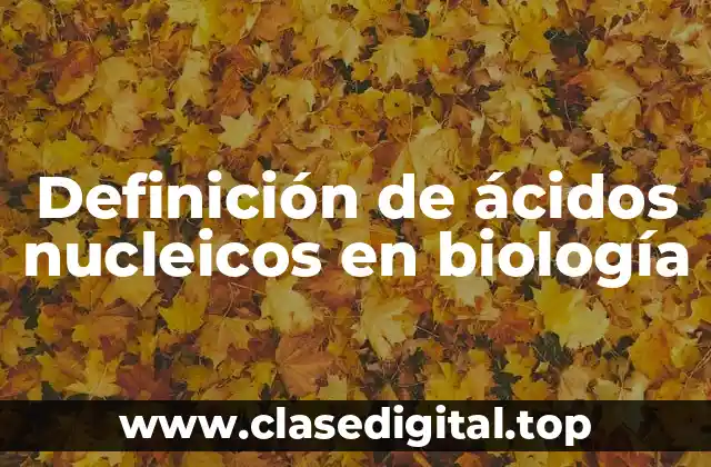 Definición de ácidos nucleicos en biología