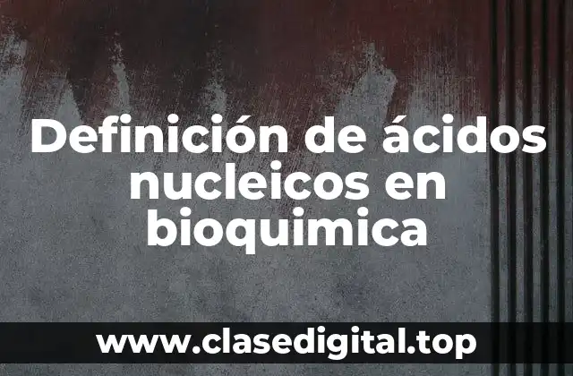 Definición de ácidos nucleicos en bioquimica