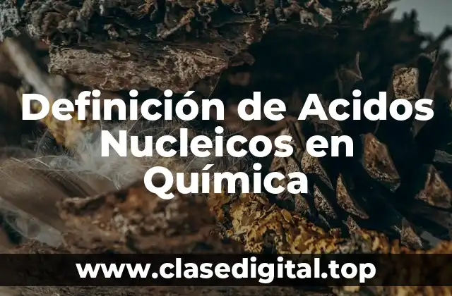 Definición de Acidos Nucleicos en Química