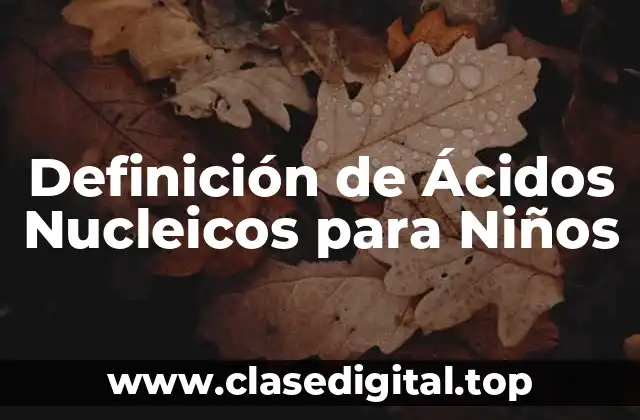 Definición de Ácidos Nucleicos para Niños