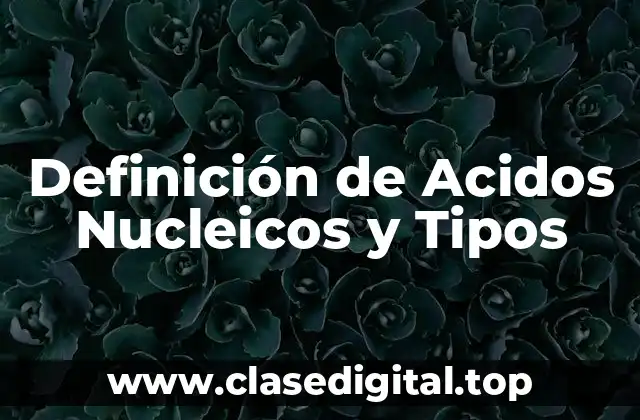 Definición de Acidos Nucleicos y Tipos