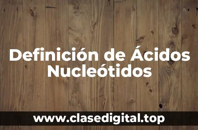 Definición técnica de ácidos nucleótidos