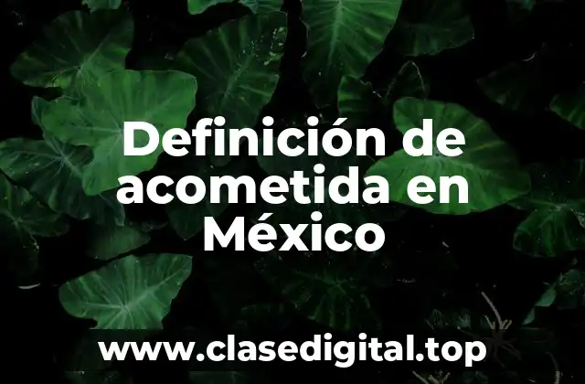 Definición de acometida en México