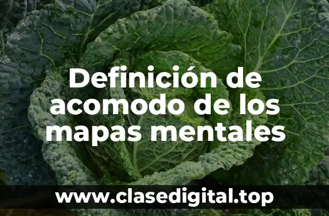 Definición de acomodo de los mapas mentales