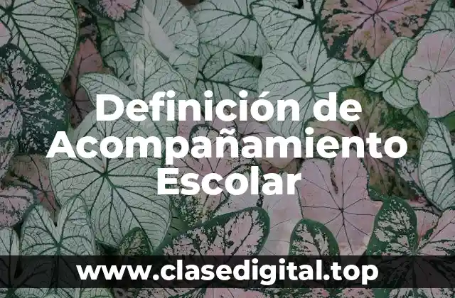 Definición de Acompañamiento Escolar