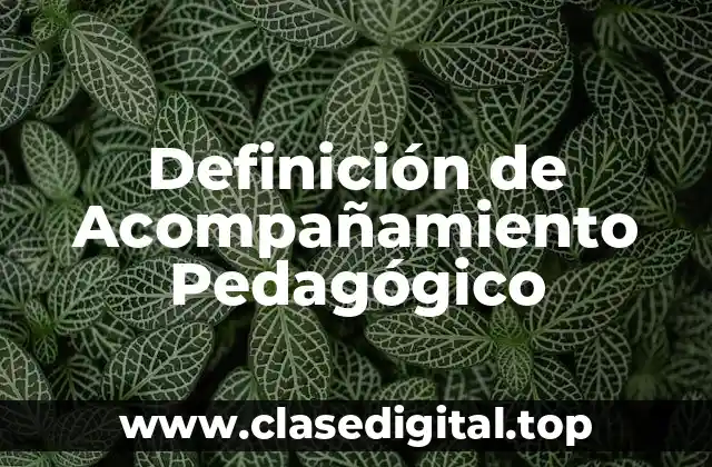Definición de Acompañamiento Pedagógico