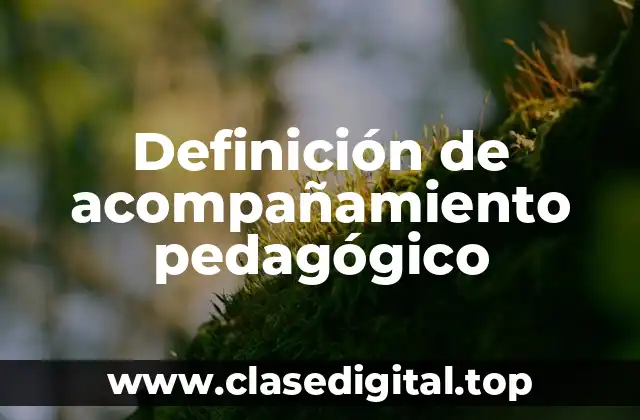 Ejemplos de acompañamiento pedagógico