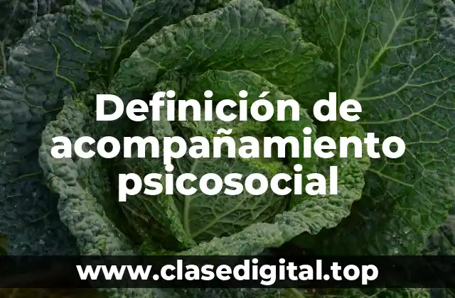 Definición de acompañamiento psicosocial